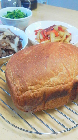 P1000509.JPG